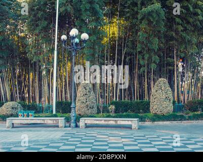 Gasse in den Park. Batumi. Georgien Stockfoto