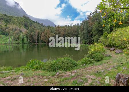 Landschaft mit idyllischen See, Engel Trompeten, grüne Bäume in das Innere der Insel Reunion im Indischen Ozean Stockfoto