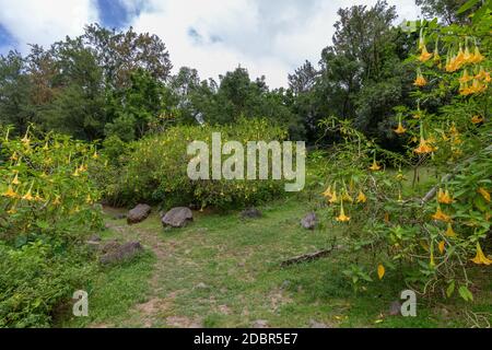 Engel in das Innere der Insel Reunion im Indischen Ozean Stockfoto