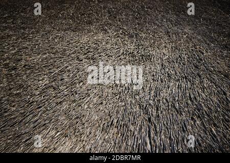 Trockenes Strohdach. Alte Strohhalme als Hintergrund. Stockfoto