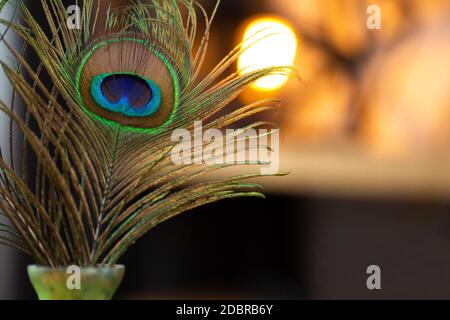 Pfauenfeder in Vase mit Bokeh Lichter auf dem Hintergrund, warme bunte Lichter, moderne Dekoration schöne grüne und gelbe Farben Schönheit Stockfoto