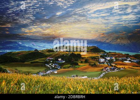 Die Luftaufnahme der berühmten und schönen Daylily Blume am 60 Stone Mountain in Hualien Taiwan Stockfoto
