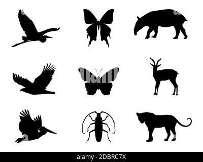 Wilde Tiere schwarze Silhouetten, Vogel-, Insekten- und pflanzenwelt Vektor-illustration isoliert auf weißem Stockfoto