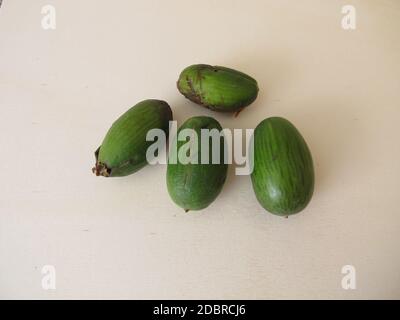 Die Früchte oder die Samen der japanischen Torreya, Torreya nucifera Stockfoto