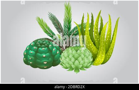 Verschiedene Arten von Kräuterpflanzen auf abstraktem Hintergrund Stockfoto