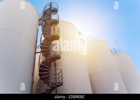 Reihen von Brühtanks gegen den Himmel. Industrielle Bierherstellung Stockfoto