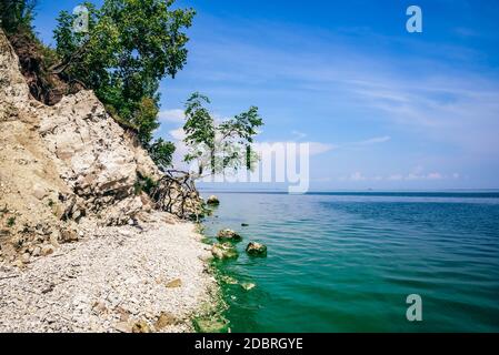 Einzigen Baum auf der felsigen Ufer am Sommer, Tag Stockfoto