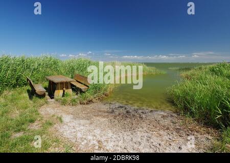 Landschaft bei Wustrow, Blickrichtung Saaler Bodden, Ostsee, Halbinsel Fischland-Darss-Zingst, Mecklenburg-Vorpommern, Deutschland Stockfoto