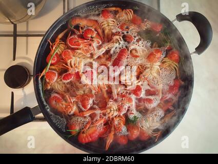 Kochen Flusskrebse, oder Crawfish, zu Hause auf einem traditionellen Rezept. Viele rote, Süßwasser-Hummer kochten in einer großen Schüssel auf dem Kochfeld. Delikatessenzubereitung Stockfoto