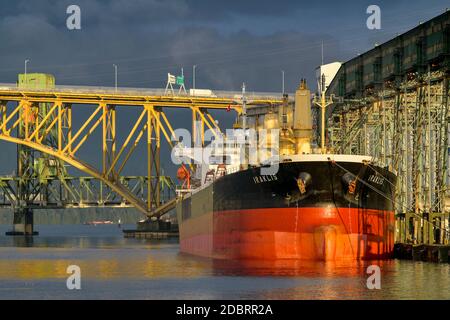 Bulk Carrier Ship Iraklis im Viterra Cascadia Grain Terminal, Port of Vancouver, Vancouver, British Columbia, Kanada. Stockfoto