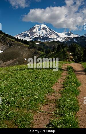 WA18201-00...WASHINGTON - gut getrampelte Strecke entlang Skyline Divide in der Mount Baker Wildnis Bereich des Mount Baker - Snoqualmie National Forest. Stockfoto