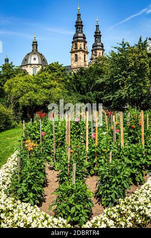 In der Domstadt Fulda, Deutschland, verbirgt sich hinter alten Mauern ein wunderbarer Dahlia-Garten. Die â € œQueen von Autumnâ € Regeln den gesamten Bereich in der Nähe der Kathedrale. Stockfoto