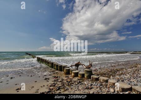 Am Naturstrand, Wustrow, Halbinsel Fischland-Darss-Zingst, Nationalpark Vorpommersche Boddenlandschaft, Ostsee, Mecklenburg-Vorpommern, Deutschland Stockfoto