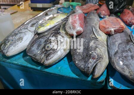 Verkauf von frischem Fisch auf der Touristenattraktion lokalen Markt in Jimbaran, Bali Insel. Frischer Fisch zum Verkauf. Dorado Delfin Fisch auch als mah bekannt Stockfoto