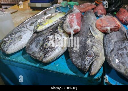 Verkauf von frischem Fisch auf der Touristenattraktion lokalen Markt in Jimbaran, Bali Insel. Frischer Fisch zum Verkauf. Dorado Delfin Fisch auch als mah bekannt Stockfoto