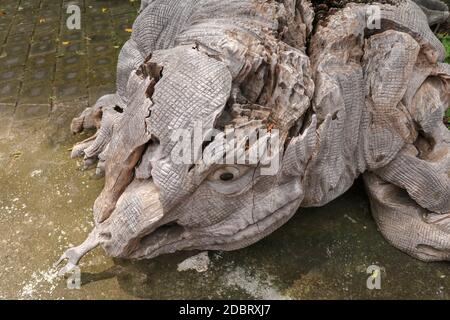 Holzstatue einer Eidechse. Kunst und Werke balinesischer Künstler. Holzkunst. Komodo Drache aus einem Stück alten Holz. Große varan-Kunst-Statue aus Holzkuchen Stockfoto