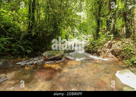 Rauschendes Wasser fließt durch Bachbett im Regenwald. Wasser fließen durch große Felsbrocken und in Yeh Ho Fluss. Das Wasser fließt durch die Steine crevic Stockfoto