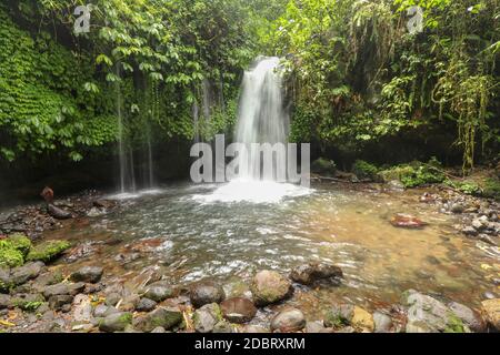 Yeh Ho Wasserfall liegt im üppigen Reisfeld beladenen Penebel Dorf in Tabanan. Wasserfall in der Nähe von Jatiluwih Reisterrasse in Bali, Indonesien. Beau Stockfoto