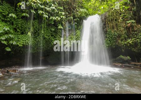 Yeh Ho Wasserfall liegt im üppigen Reisfeld beladenen Penebel Dorf in Tabanan. Der Strom von schönen Wasserfall im Dschungel in Jatiluwih Bereich Stockfoto