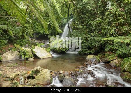 Yeh Ho Wasserfall liegt im üppigen Reisfeld beladenen Penebel Dorf in Tabanan. Der Strom von schönen Wasserfall im Dschungel in Jatiluwih Bereich Stockfoto