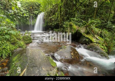 Yeh Ho Wasserfall liegt im üppigen Reisfeld beladenen Penebel Dorf in Tabanan. Der Strom von schönen Wasserfall im Dschungel in Jatiluwih Bereich Stockfoto