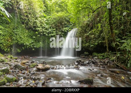 Yeh Ho Wasserfall liegt im üppigen Reisfeld beladenen Penebel Dorf in Tabanan. Der Strom von schönen Wasserfall im Dschungel in Jatiluwih Bereich Stockfoto