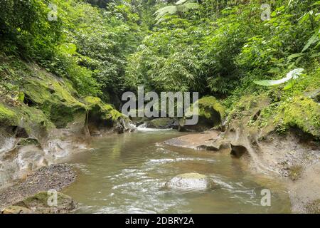 Wunderschöne Textur aus Stein Flussbett poliert von Bergfluss umgeben von wilden Regenwald an einem sonnigen Sommertag. Bali, Indonesien. Stockfoto