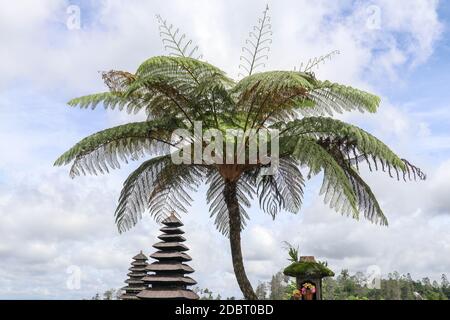 Bunte balinesische Landschaft mit einem Tempel. Tempel in Pura Penataran Agung Besakih Komplex, der Muttertempel von Bali, Indonesien. Mehrere balinesische Tem Stockfoto