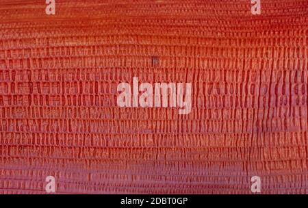 Bananenblüten Textur Nahaufnahme, Makro. Stockfoto