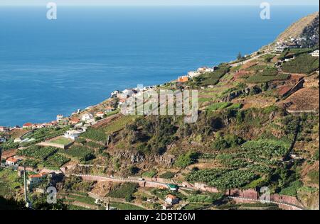 Blick über die Weinberge der Madeira Wine Company, Estreito de Camara de Lobos, Madeira, Portugal Stockfoto