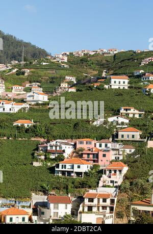 Blick über die Weinberge der Madeira Wine Company, Estreito de Camara de Lobos, Madeira, Portugal Stockfoto