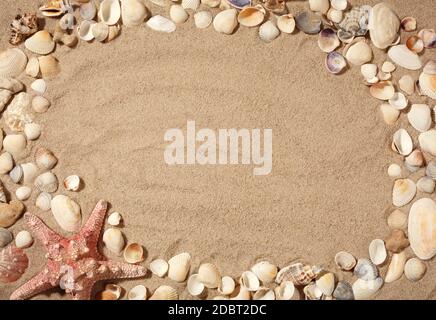 Muscheln, Seesterne und Seesteinchen Rahmen auf Strand Sand Hintergrund. Natürlicher, strukturierter Sand am Meer, Kopierraum. Stockfoto