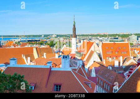 Skyline der Altstadt von Tallinn bei Sonnenuntergang, Estland Stockfoto