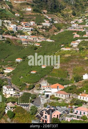 Blick über die Weinberge der Madeira Wine Company, Estreito de Camara de Lobos, Madeira, Portugal Stockfoto