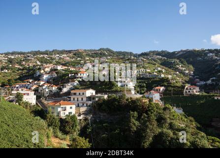 Blick über die Weinberge der Madeira Wine Company, Estreito de Camara de Lobos, Madeira, Portugal Stockfoto