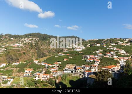 Blick über die Weinberge der Madeira Wine Company, Estreito de Camara de Lobos, Madeira, Portugal Stockfoto