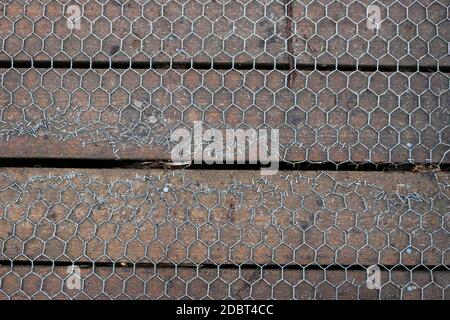 Repariert Holzplanke Boardwalk in Metalldraht sechseckigen Mesh mit Klammern hält die beschädigte Kante des Drahtes ohne Hintergrund abgedeckt. Stockfoto
