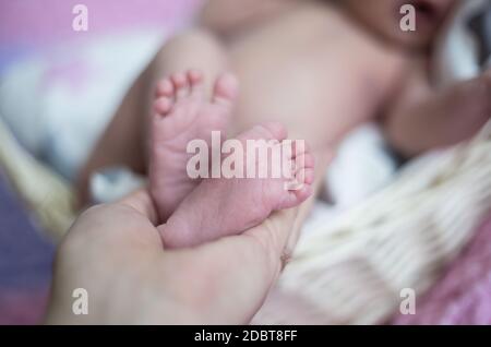 Die Beine des Neugeborenen befinden sich in den Händen der Mutter. Ein neugeborenes Baby liegt in einem Korb. Die Beine sind wie ein Herz Stockfoto