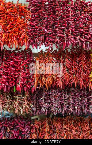 Chilischoten auf Schnur in Funchal auf Madeira. Portugal Stockfoto