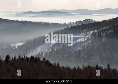 Neblige Ansicht des Beskid Sadecki Gebirges mit Skipiste von Jaworzyna Krynicka in Polen Stockfoto