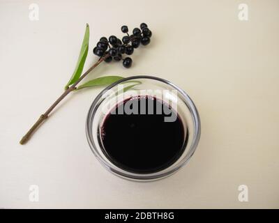 Schwarze violette Tinte aus Beerenfrüchten Stockfoto