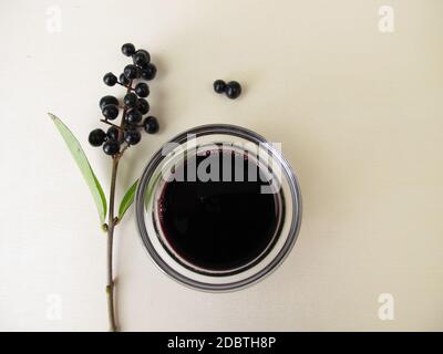 Schwarze violette Tinte aus Beerenfrüchten Stockfoto