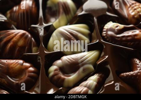 Nahaufnahme einer Schachtel Pralinen in Form von Meeresfrüchten. Stockfoto