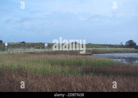 Naturschutzgebiet Graswarder, Heiligenhafen Stockfoto