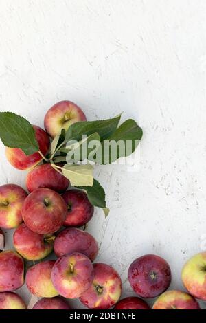 Frische rote Äpfel mit grünen Blättern auf weißer Holzfläche. Draufsicht mit Platz für Text. Stockfoto