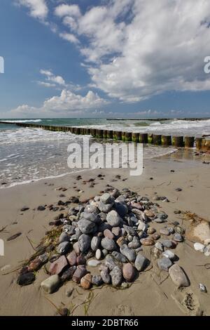 Am Naturstrand, Wustrow, Halbinsel Fischland-Darss-Zingst, Nationalpark Vorpommersche Boddenlandschaft, Ostsee, Mecklenburg-Vorpommern, Deutschland Stockfoto