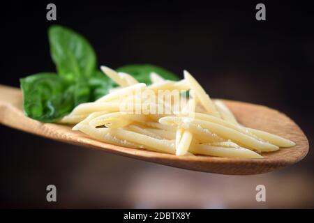 Trofie oder Trofiette ungekochte Pasta auf dem Löffel Stockfoto