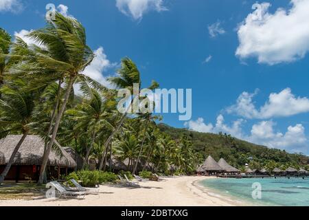 Marara Beach nahe Sofitel Hotel, Bora Bora, Französisch-Polynesien, Ozeanien Stockfoto