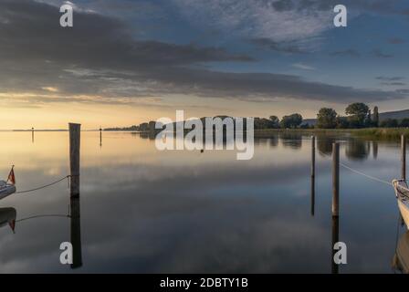 Morgenstimmung am Bodensee, Moos, Baden Württemberg, Deutschland Stockfoto