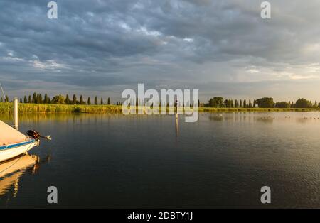 Naturschutzgebiet am Bodensee im Morgenlicht Stockfoto